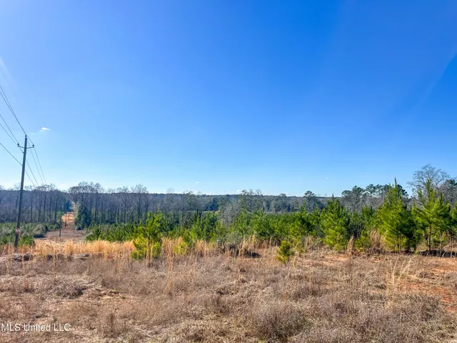 $627,334 | 1621 Cr 111 Shubuta Ms 39360, Quitman, MS 39355