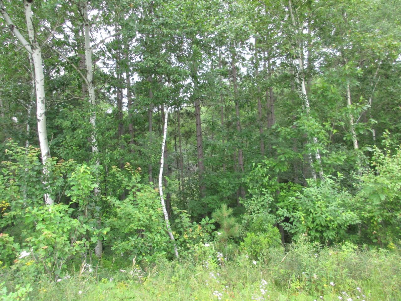 Off Sunset Lane Rhinelander, WI 54501 - Photo 6 of 9 Gallery Image 6