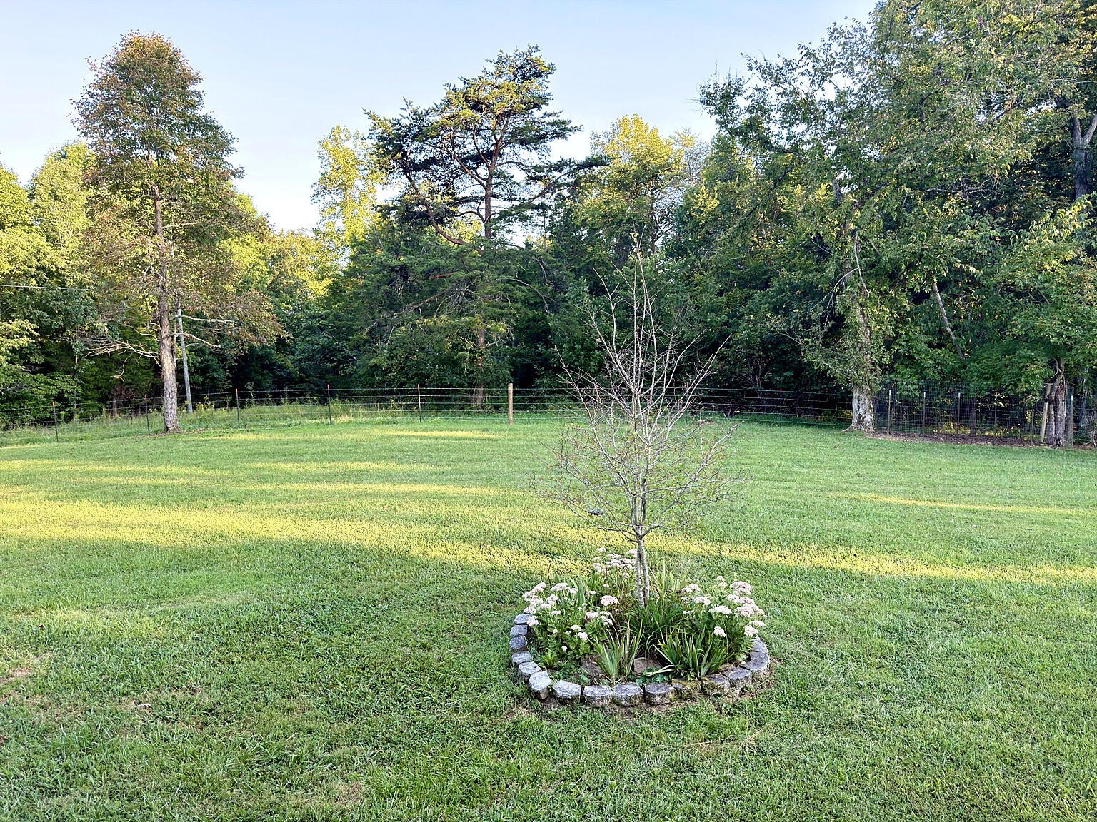 673 Crawford Bend Road Hillsboro, KY 41049 - Photo 18 of 32 Back Yard