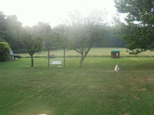 340 Vaneal Road Washington, PA 15301 - Photo 5 of 5 Yard/Garden.