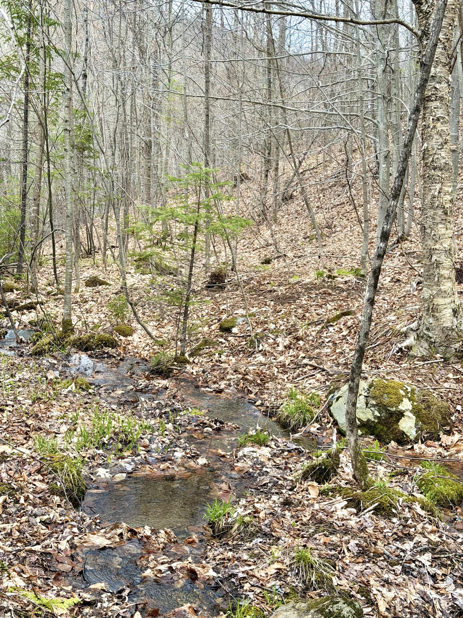 Lot 2 Mooseley Ridge Road Phillips, ME 04966 - Photo 22 of 24