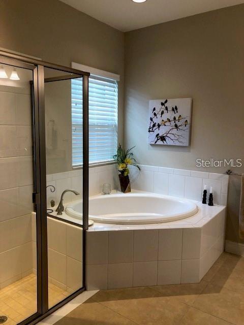 6234 Colmar Place Apollo Beach, FL 33572 - Photo 9 of 25