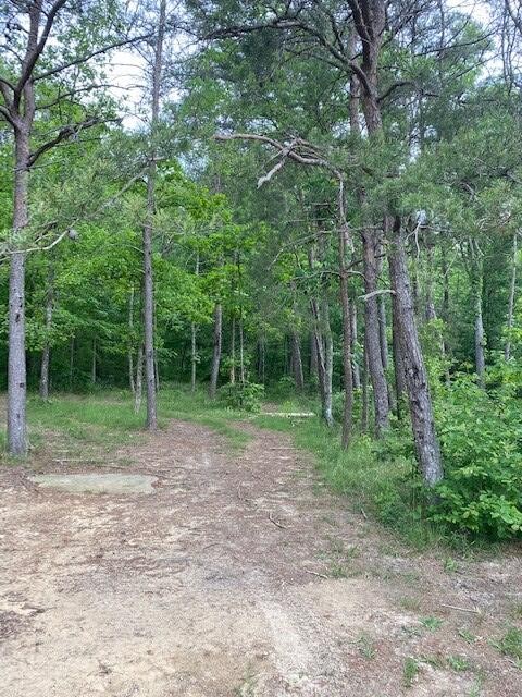 50 Stancil Green Road Whitwell, TN 37397 - Photo 7 of 7 Gallery Image 7