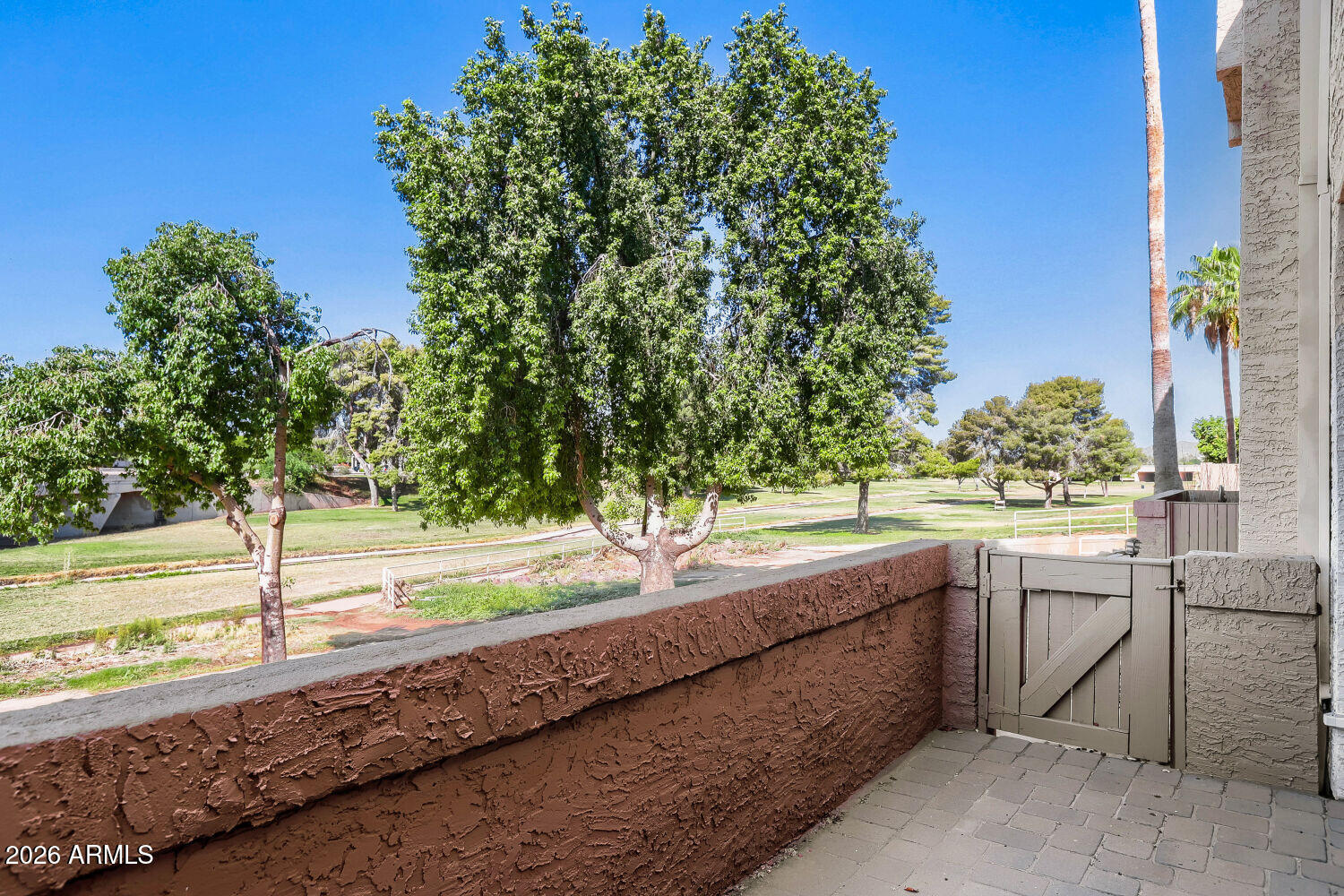 4150 East Cactus Road, Unit 115 Phoenix, AZ 85032 - Photo 14 of 15 Back Patio