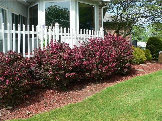 6911 Five Points Road Indianapolis, IN 46259 - Photo 3 of 24 Gallery Image 3