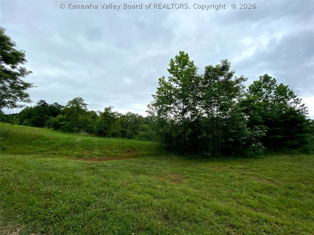 29 Davidson Ridge Road Palestine, WV 26160 - Photo 31 of 42 Gallery Image 31