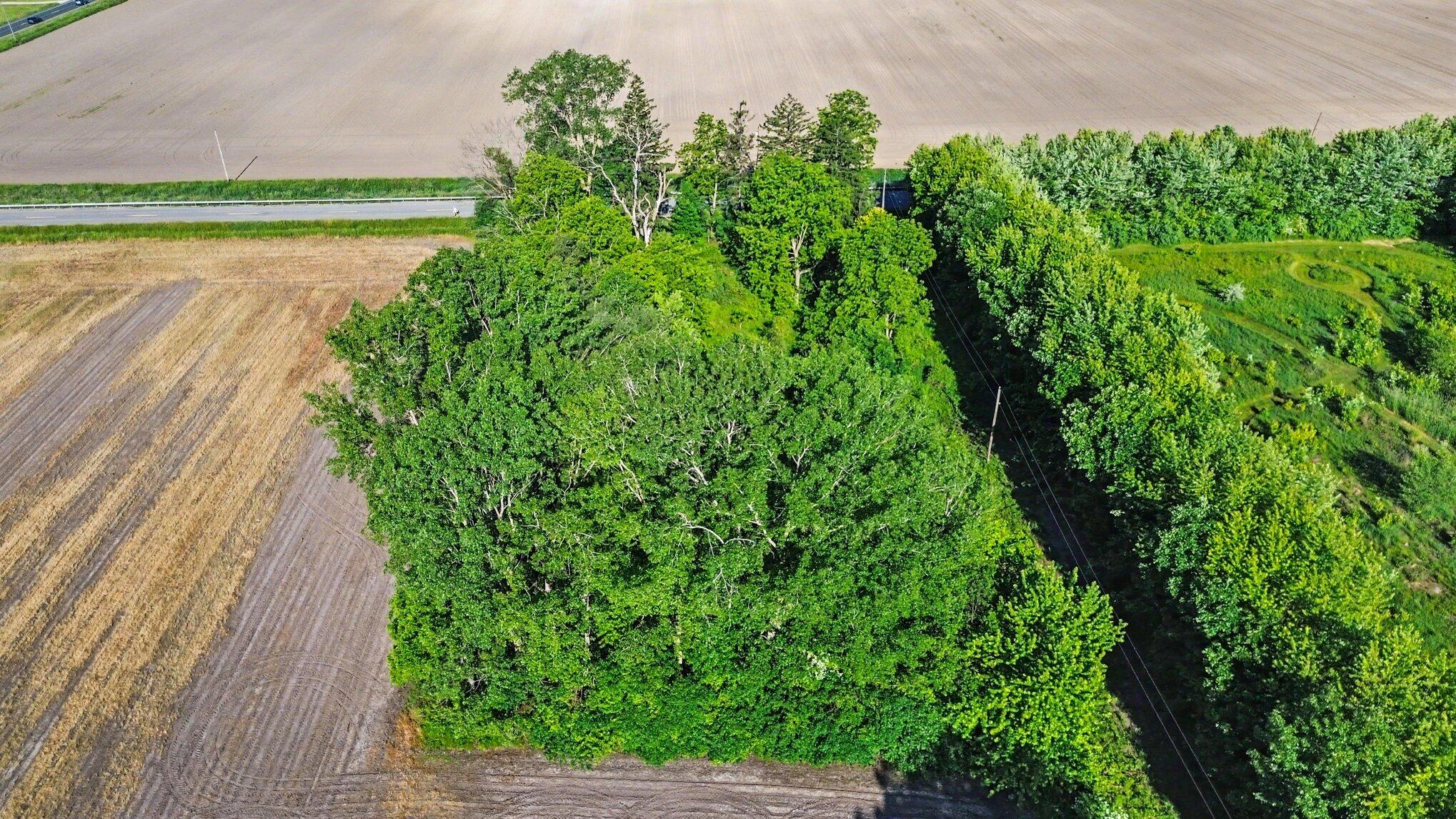 9605 Holden Road Baroda, MI 49101 - Photo 9 of 9 9