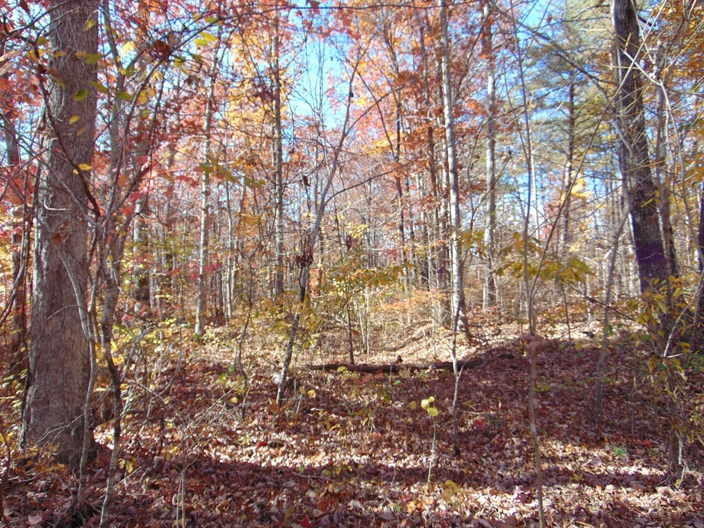 0 Raccoon Ridge Road Spring City, TN 37381 - Photo 10 of 70