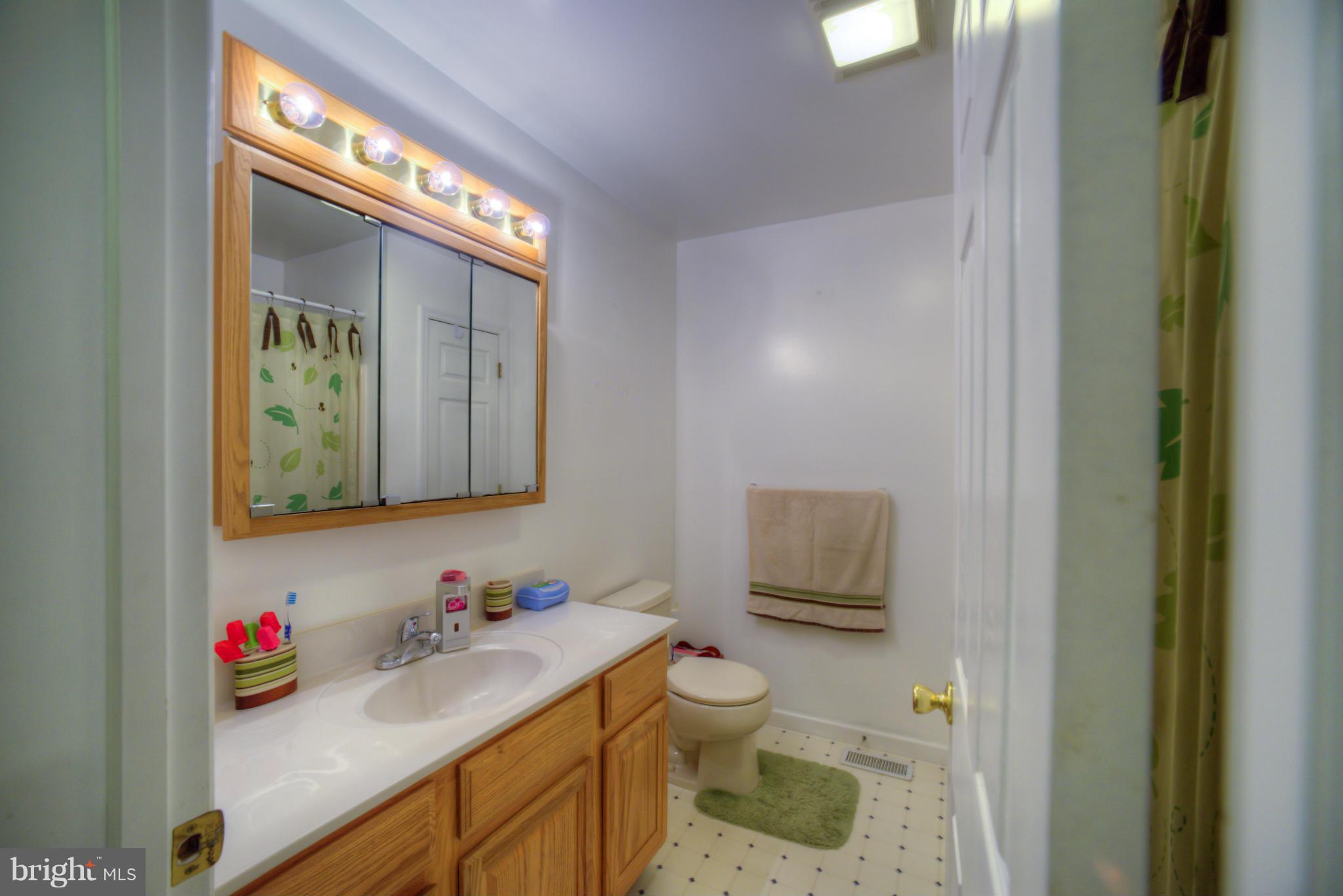 164 Rowlandsville Road Conowingo, MD 21918 - Photo 9 of 25 Bath