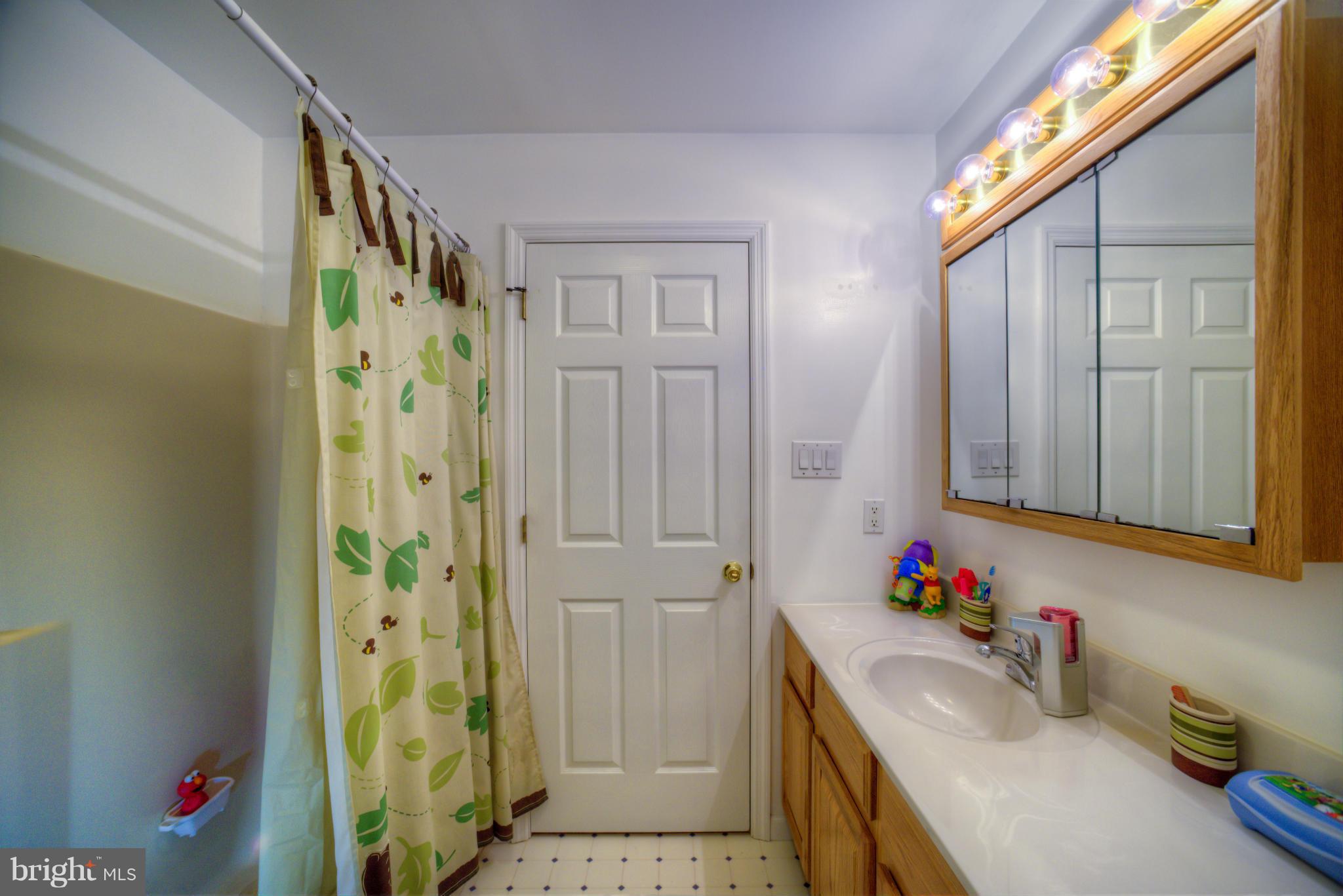 164 Rowlandsville Road Conowingo, MD 21918 - Photo 10 of 25 Bath
