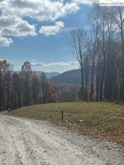 Fernwood Trail Boone, NC 28607 - Photo 1 of 7 a view of a backyard
