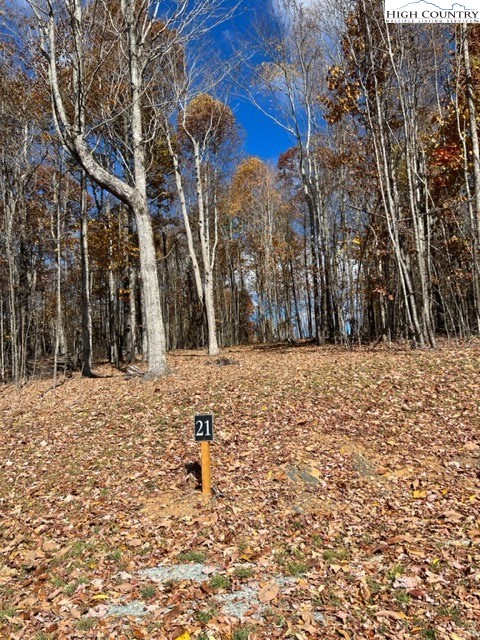Fernwood Trail Boone, NC 28607 - Photo 3 of 7 a view of a yard with trees