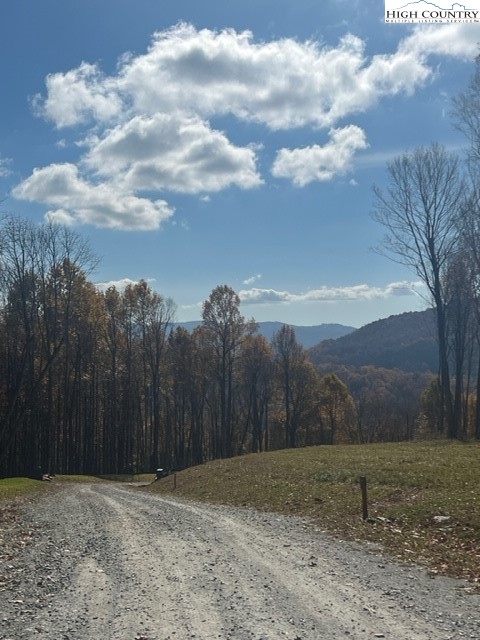 Fernwood Trail Boone, NC 28607 - Photo 5 of 7 a view of a backyard