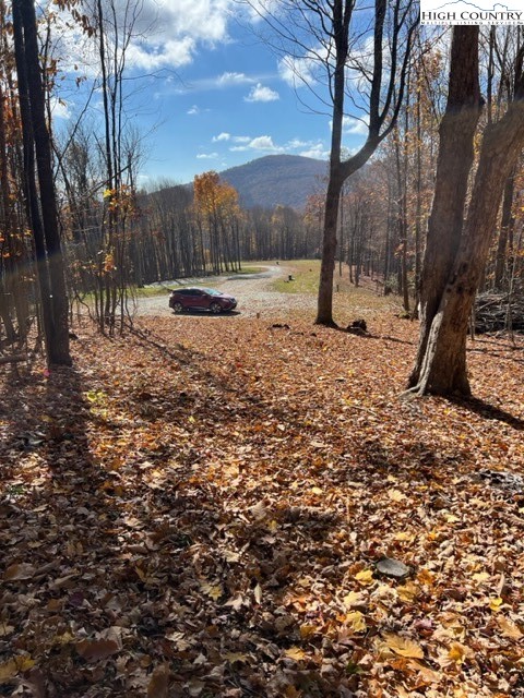 Fernwood Trail Boone, NC 28607 - Photo 6 of 7 a view of outdoor space with trees