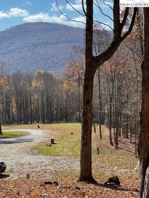 Fernwood Trail Boone, NC 28607 - Photo 7 of 7 a view of a yard with large trees