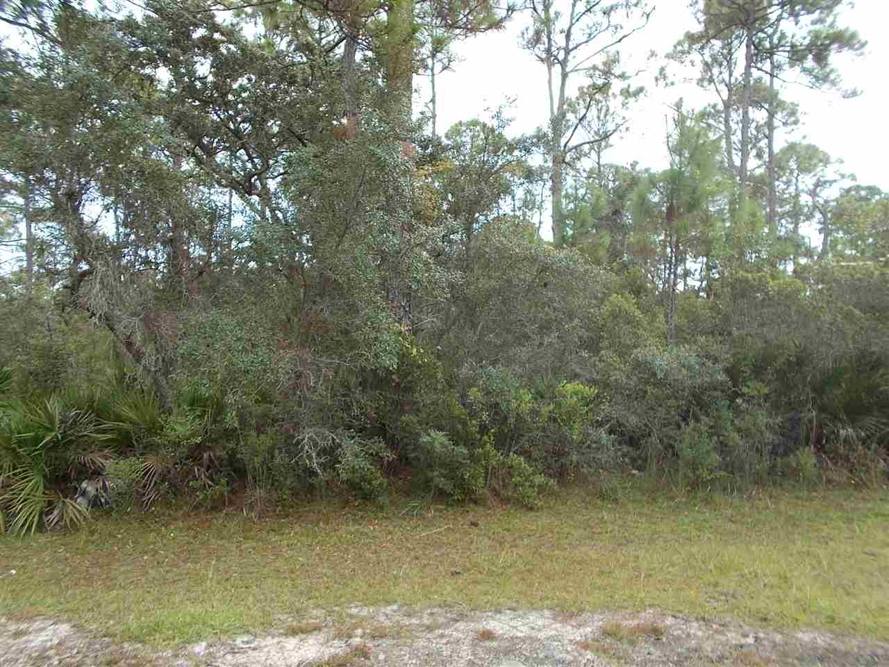 22 Piper Lane Panacea, FL 32346 - Photo 4 of 5