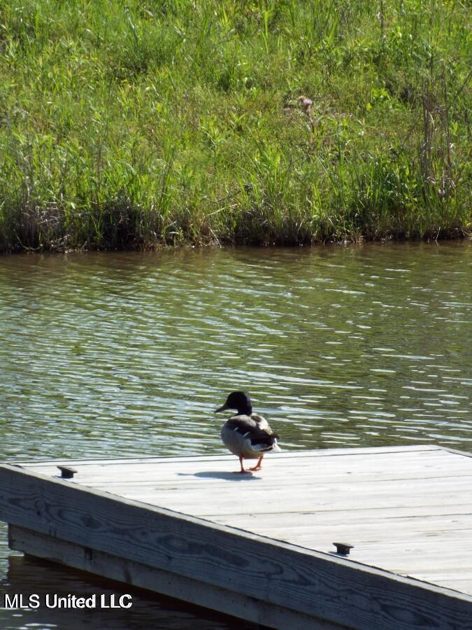 82 Windermere Boulevard Madison, MS 39110 - Photo 6 of 10 A Charlton Place MLS pic (10)