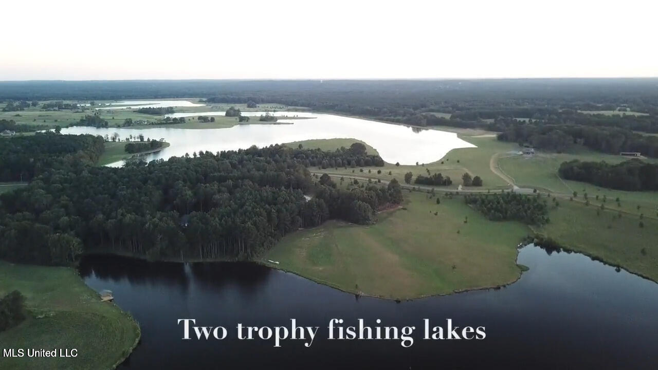 82 Windermere Boulevard Madison, MS 39110 - Photo 8 of 10 A Charlton Place MLS pic (13)