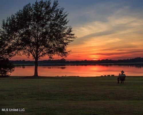 82 Windermere Boulevard Madison, MS 39110 - Photo 9 of 10 A Charlton Place MLS pic (14)