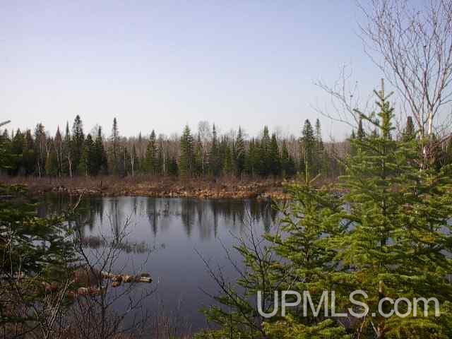 E2520 Co Road Trenary, MI 49891 - Photo 4 of 5