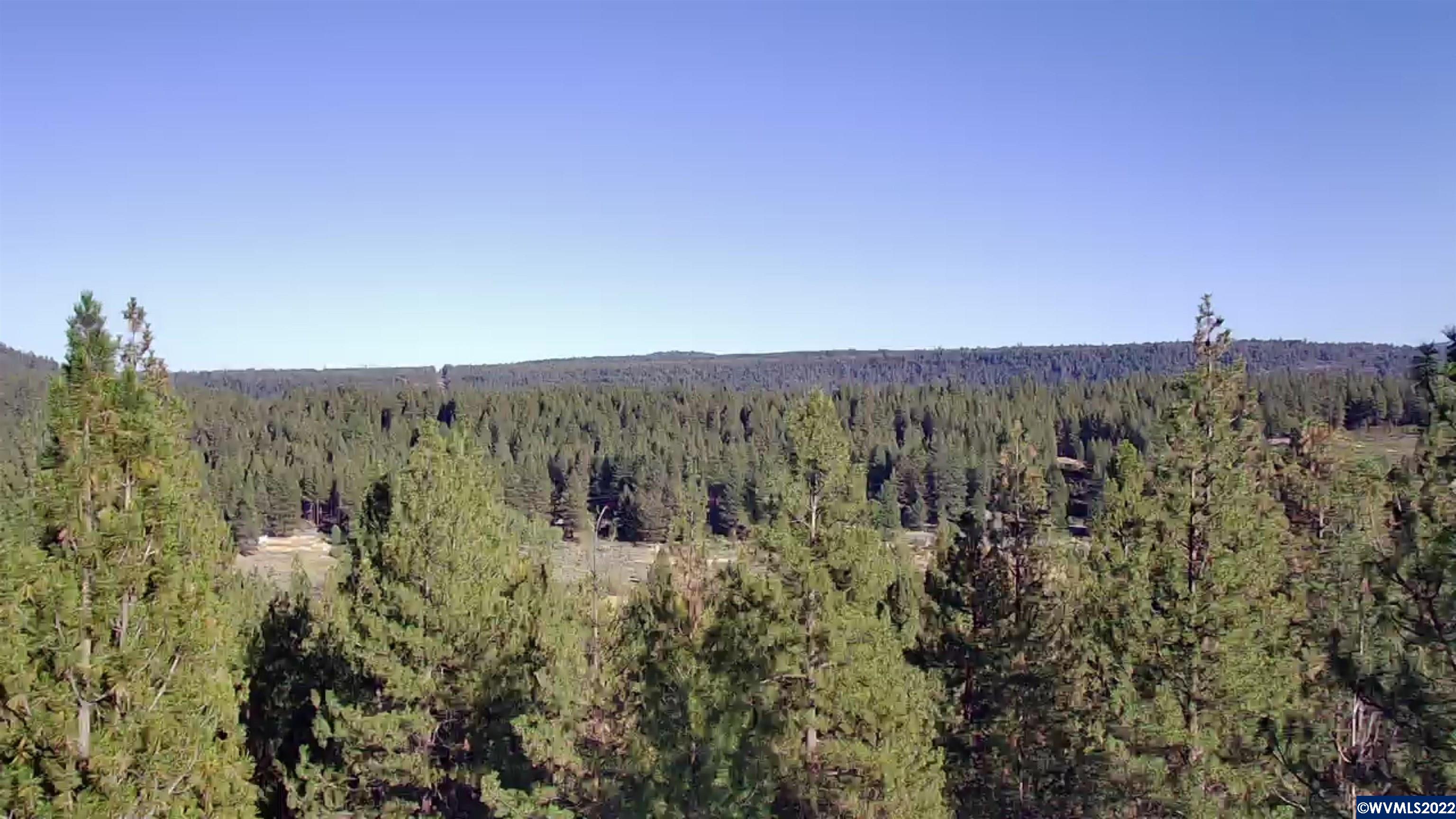 Lot 16 Stillwater Way Chiloquin, OR 97624 - Photo 3 of 7