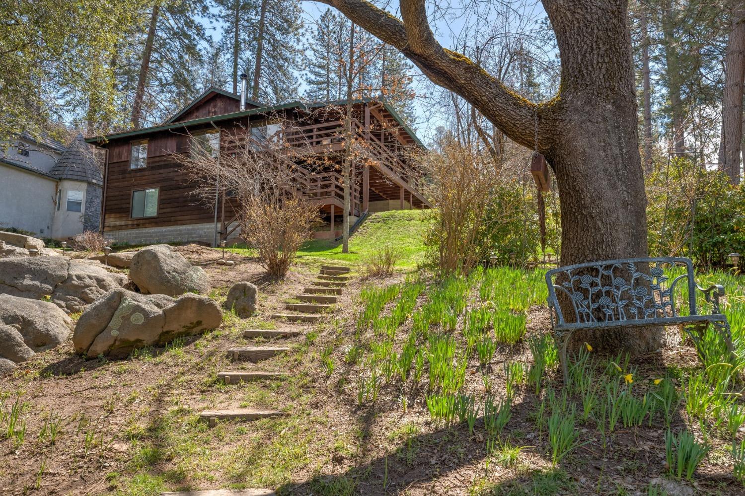 42538 Buckeye Road Oakhurst, CA 93644 - Photo 42 of 46 a backyard of a house with lots of green space