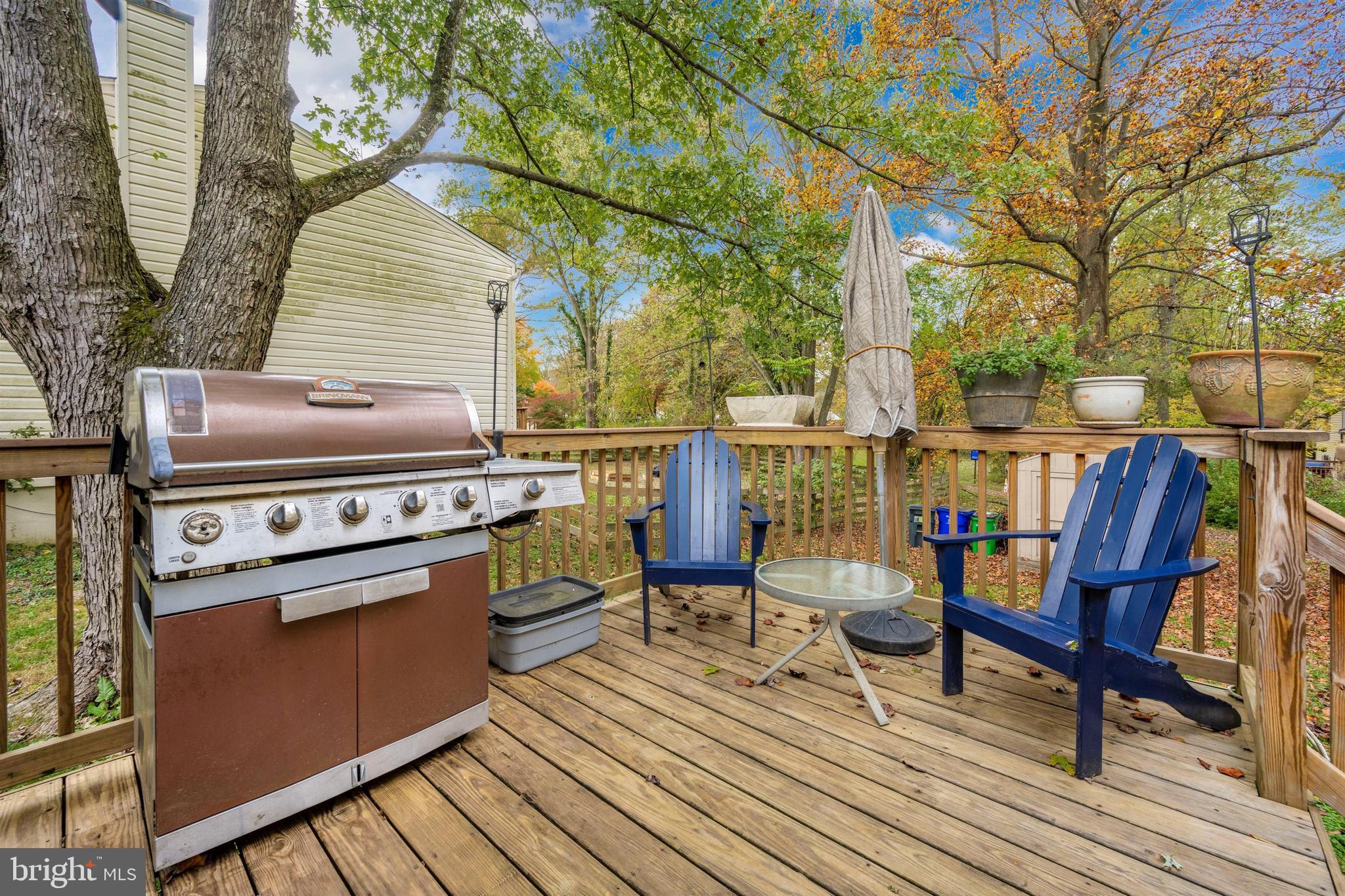 6809 Pyramid Way Columbia, MD 21044 - Photo 47 of 54 Deck