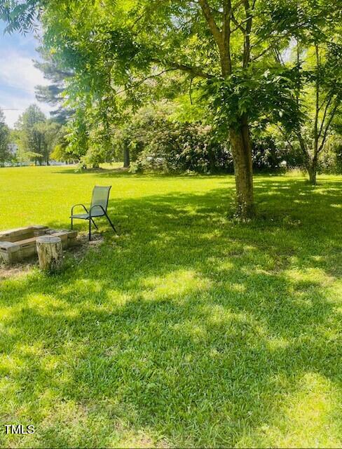 433 Williams Road Spring Hope, NC 27882 - Photo 4 of 31 433 Williams Road Pic.004