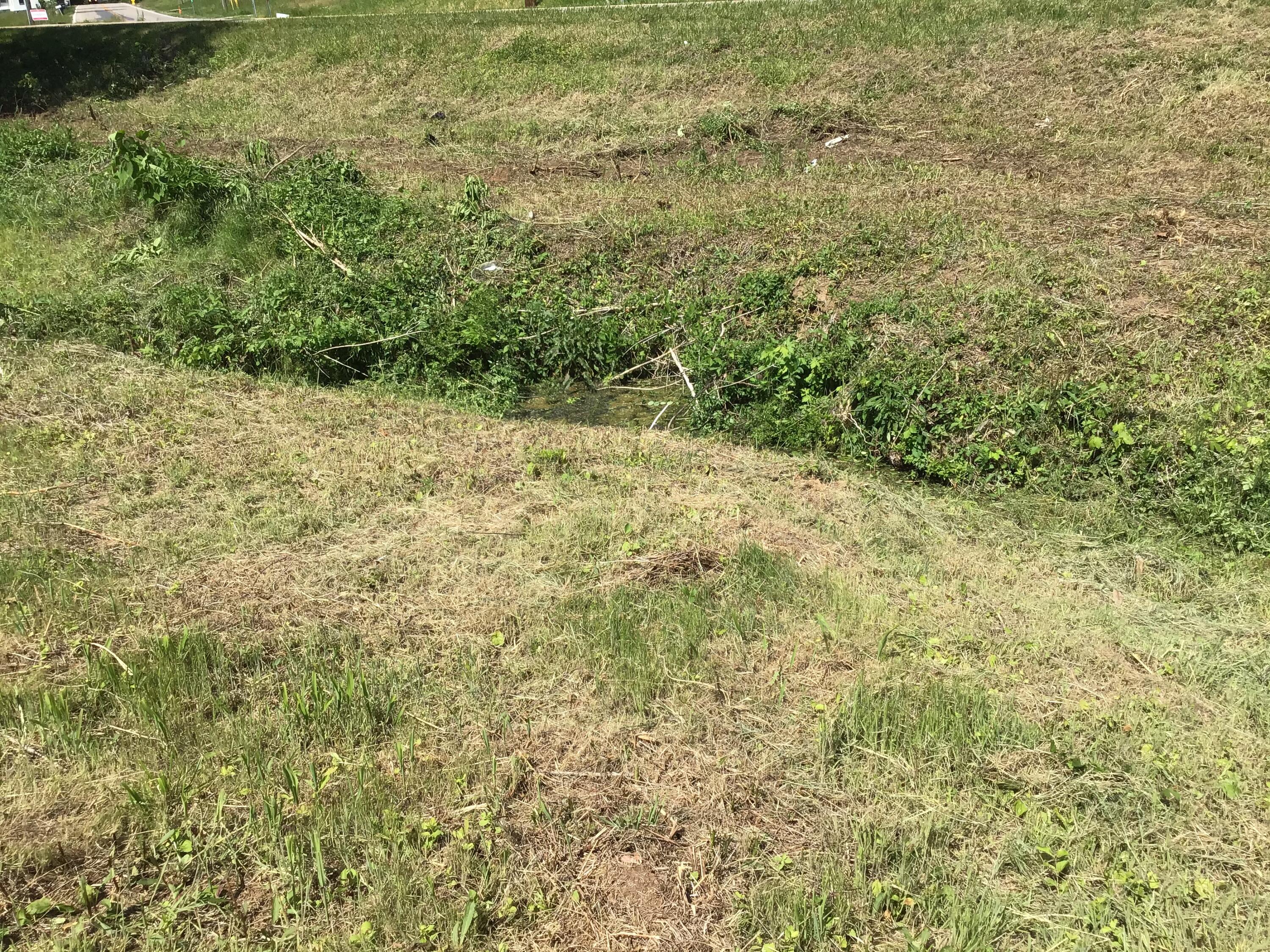 40 Buckboard Road Greeneville, TN 37743 - Photo 53 of 57 725FBE6F-FBBA-439C-897E-FB3ED1BE7323