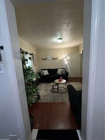 a living room with furniture and a potted plant