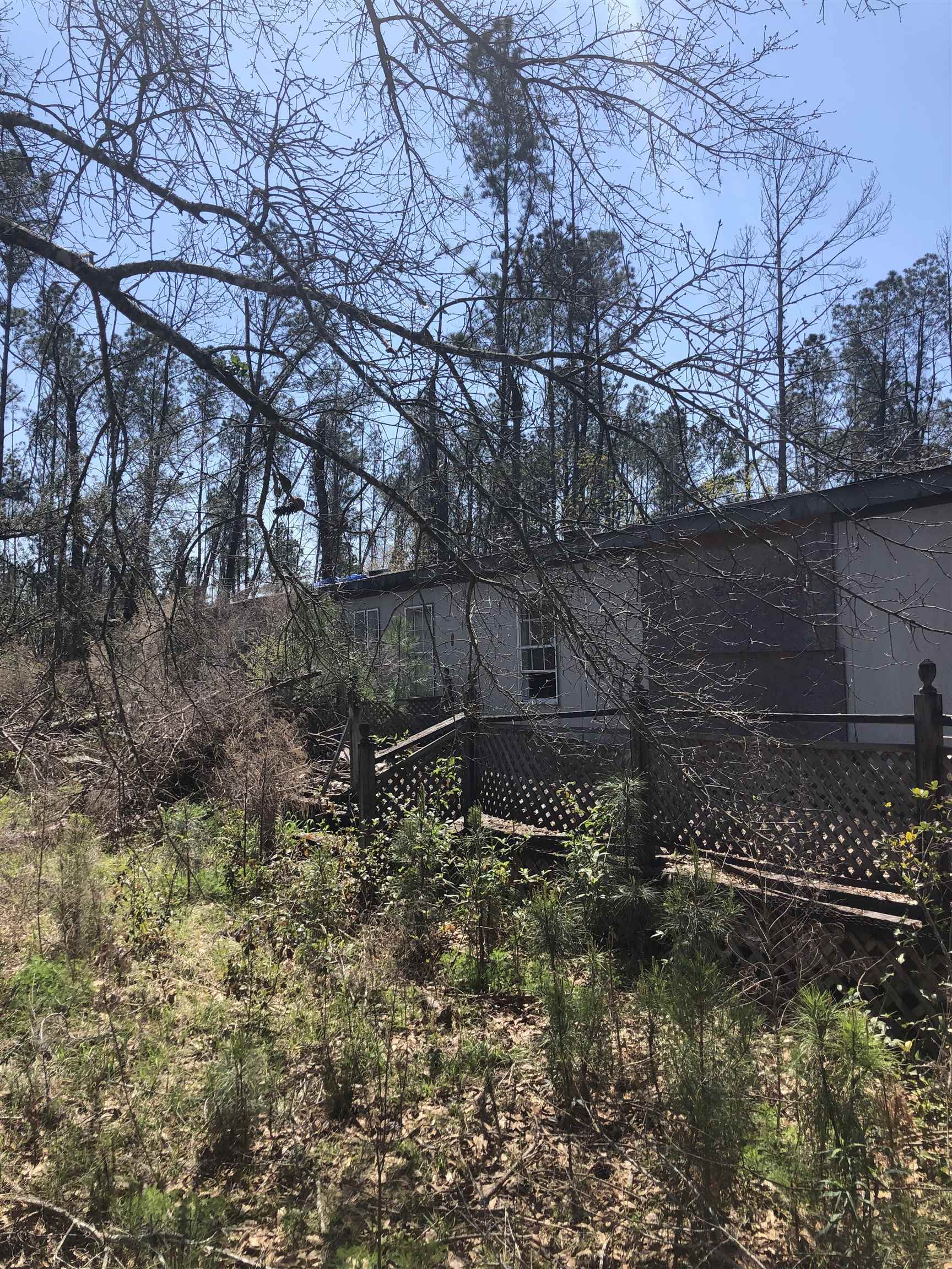 17373 Bemis Lane Elberta, AL 36530 - Photo 6 of 16