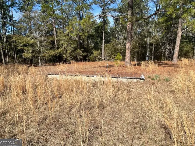 $93,000 | 6689 McRae Highway, McRae-Helena, GA 31037