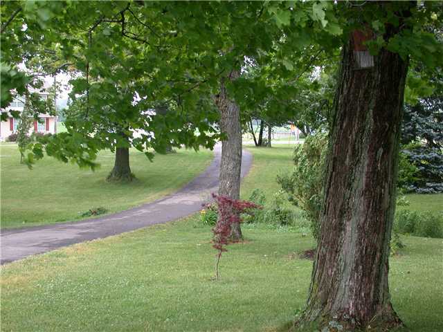 9775 Old Columbus Road South Vienna, OH 45369 - Photo 25 of 25