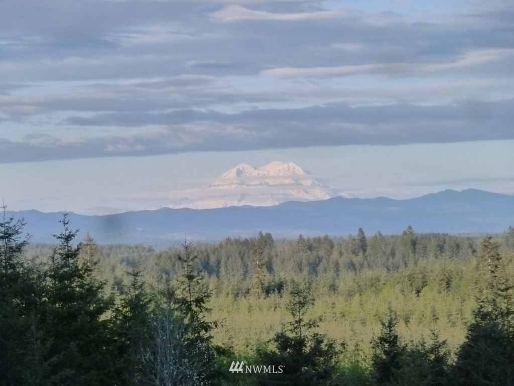 972 Brown Road West Chehalis, WA 98532 - Photo 8 of 16