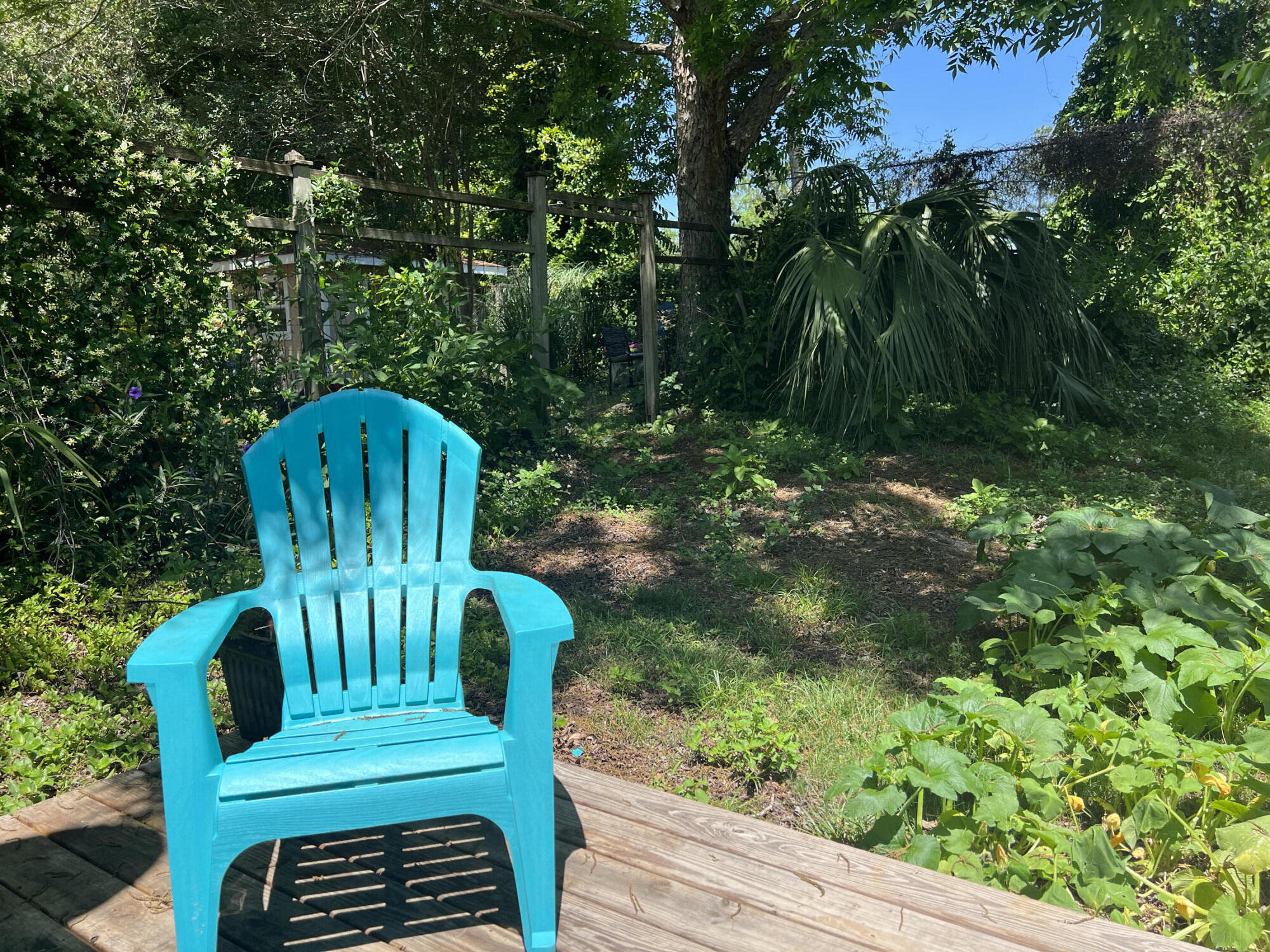 24 Blenheim Lane, Unit 7 Santa Rosa Beach, FL 32459 - Photo 11 of 11 a view of a chair in the garden