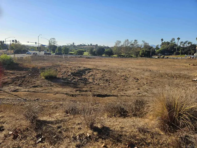 a view of a field with large trees
