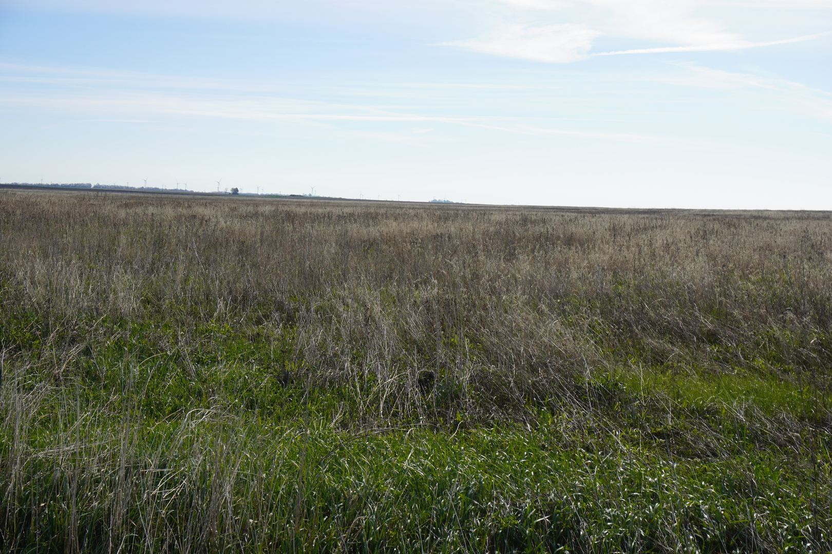 102 Acres /- East 1900 North Road Cullom, IL 60929 - Photo 8 of 16
