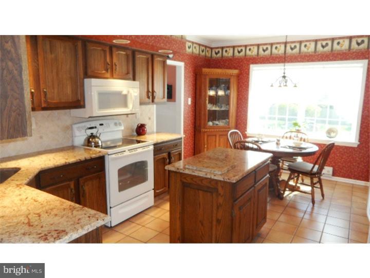 390 Trend Road Yardley, PA 19067 - Photo 8 of 25 Kitchen