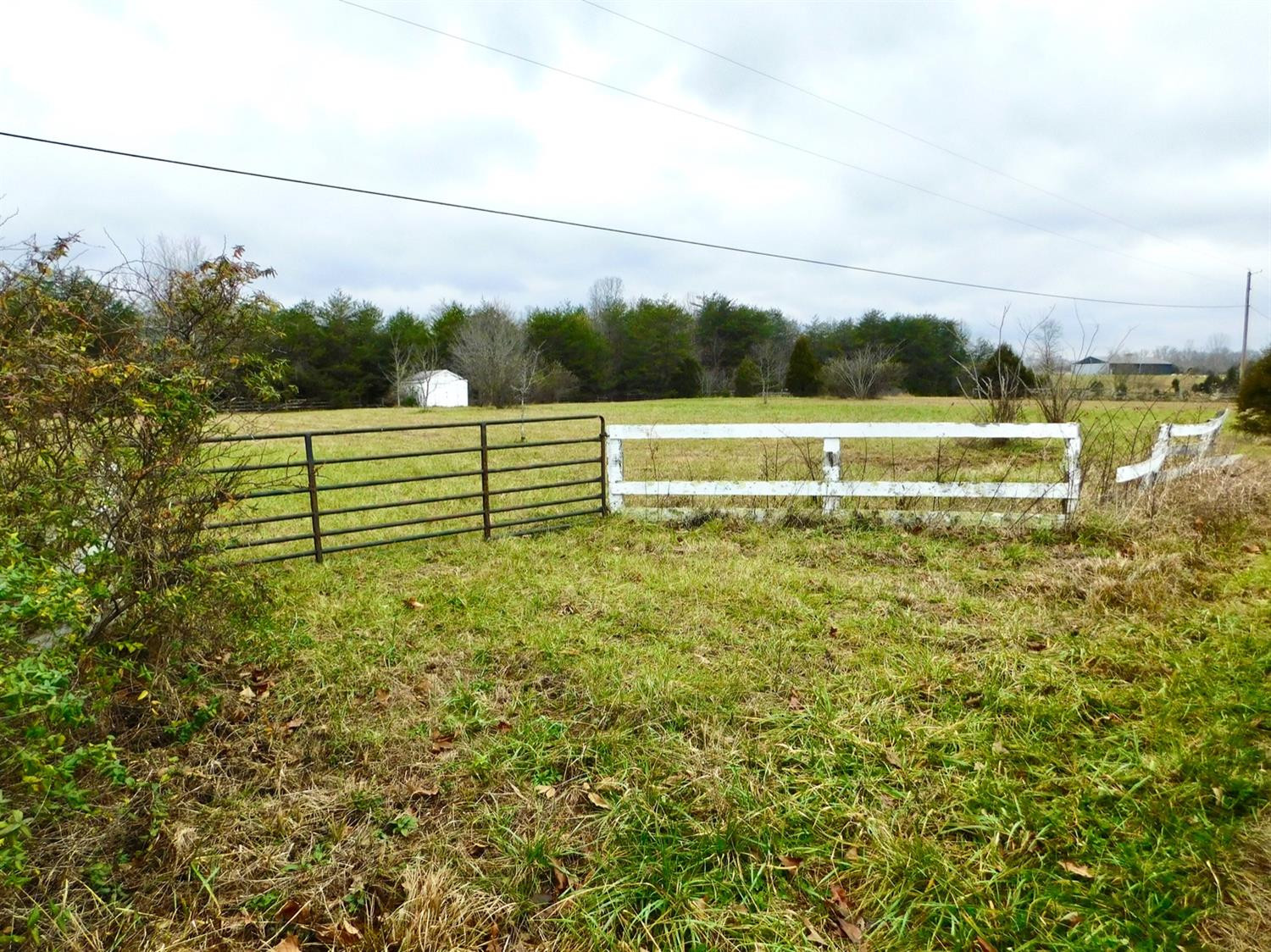 1121 Low Gap Road Irvine, KY 40336 - Photo 4 of 10 Photo 4