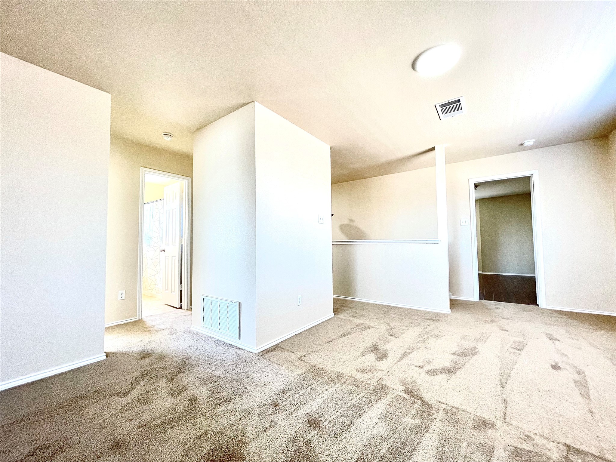 508 Emma Rose Trail Leander, TX 78641 - Photo 20 of 40 A well-maintained carpeted area provides versatile space within this residence.
