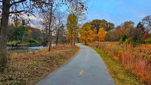 a view of a yard with trees