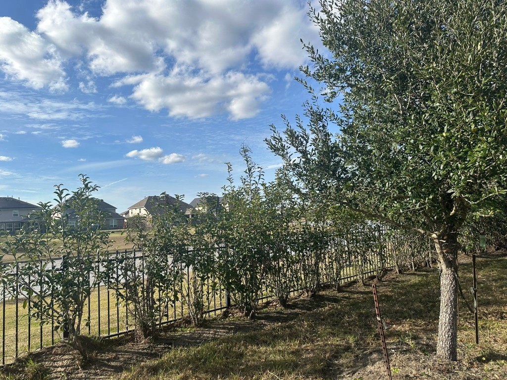 9914 Channel Set Way Rosharon, TX 77583 - Photo 22 of 24 a view of a city with large trees