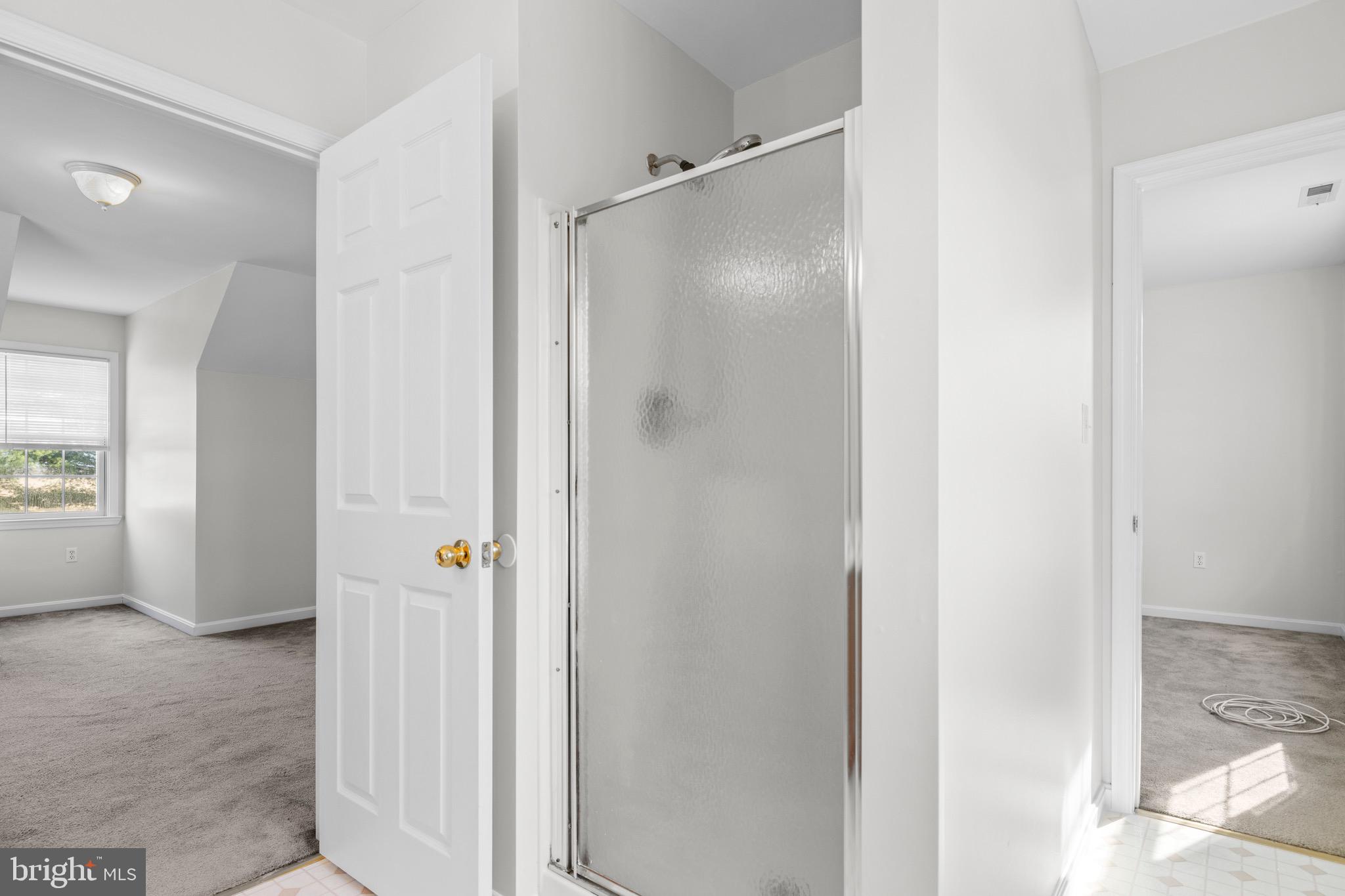 8578 Tuckahoe Road Denton, MD 21629 - Photo 32 of 64 a bathroom with a shower and a glass door