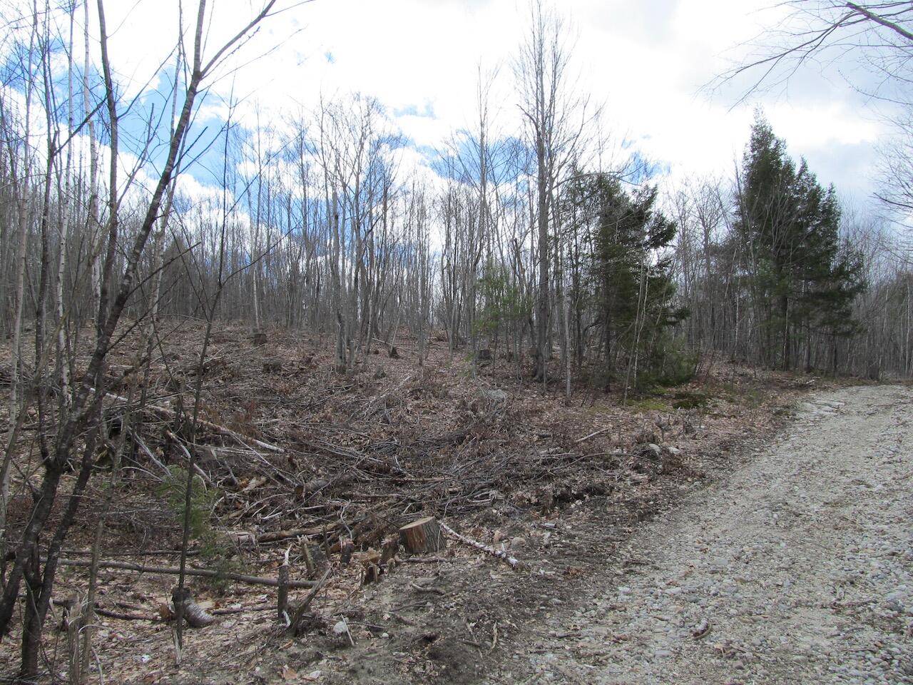 54.62 McAlister Road Buckfield, ME 04220 - Photo 14 of 80 IMG_0221