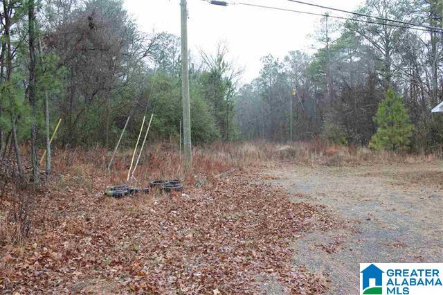 2191 Coldwater Road Anniston, AL 36201 - Photo 23 of 25