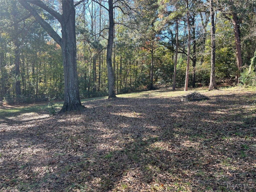 230 Walker Road Ozark, AL 36360 - Photo 46 of 52 Gallery Image 46