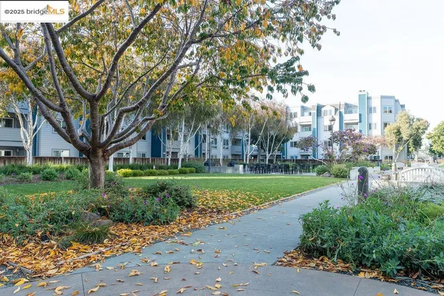 a green field with lots of trees