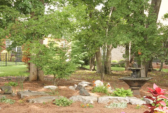 5340 Sherrington Road Murfreesboro, TN 37128 - Photo 18 of 20 Another view from the patio. Park-like setting. Could be easily reconfigured for a shaded play area.