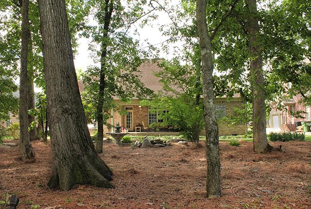 5340 Sherrington Road Murfreesboro, TN 37128 - Photo 19 of 20 View of the house from the back of the property showing the privacy provided by the mature trees. Front yard outdoor lighting.
