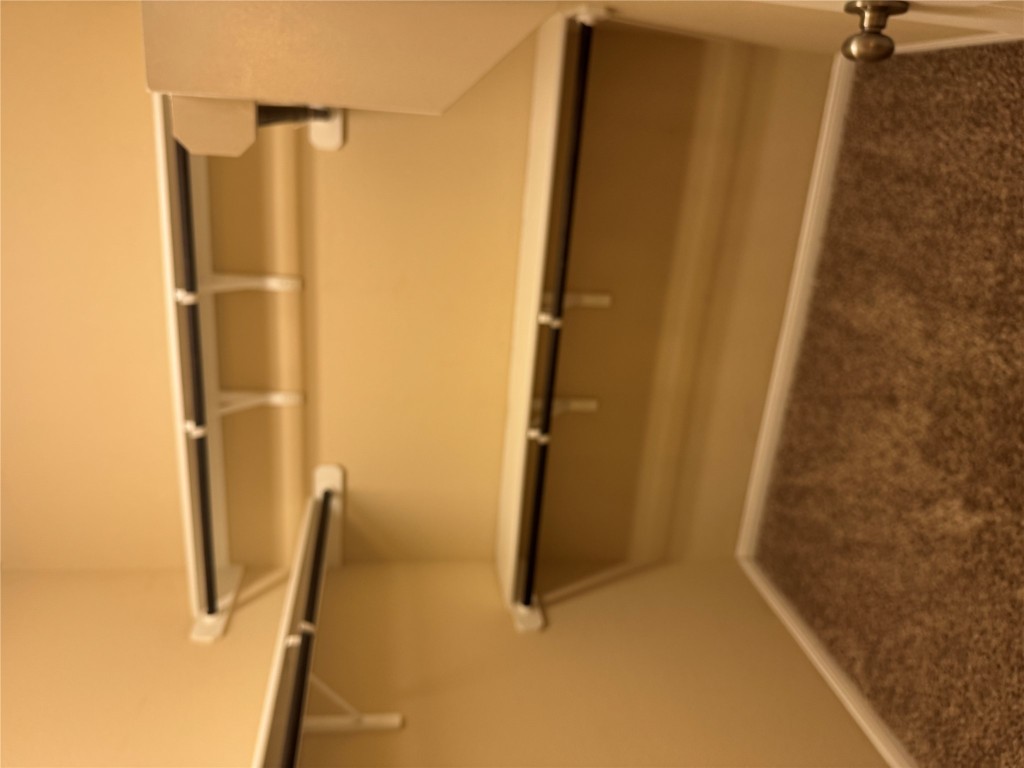 7220 Wyoming Springs Drive, Unit 1301 Round Rock, TX 78681 - Photo 13 of 21 a close view of closet